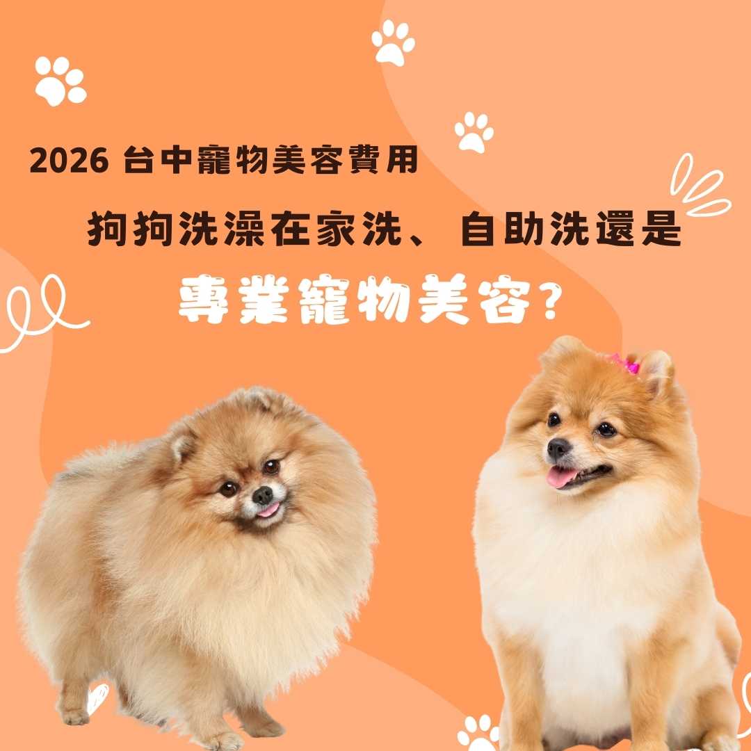 2026 台中寵物美容費用|狗狗洗澡在家洗、自助洗還是專業寵物美容? 2026 台中寵物美容費用|狗狗洗澡在家洗、自助洗還是專業寵物美容?